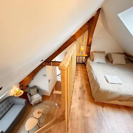 Charme Nordique En Hypercentre Apartman